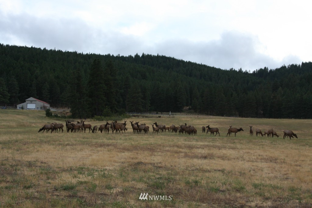 337 Elk Heights Road Cle Elum, WA 98922 - Photo 25 of 25 Gallery Image 25
