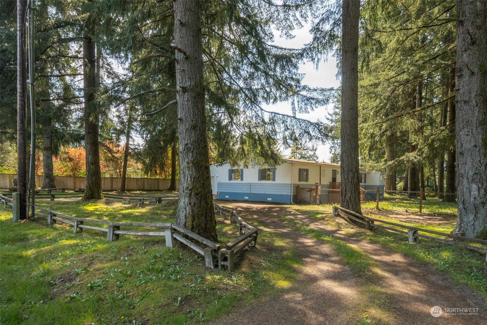 8117 176th Avenue Southwest Rochester, WA 98579 - Photo 2 of 27 a view of a yard with plants and trees