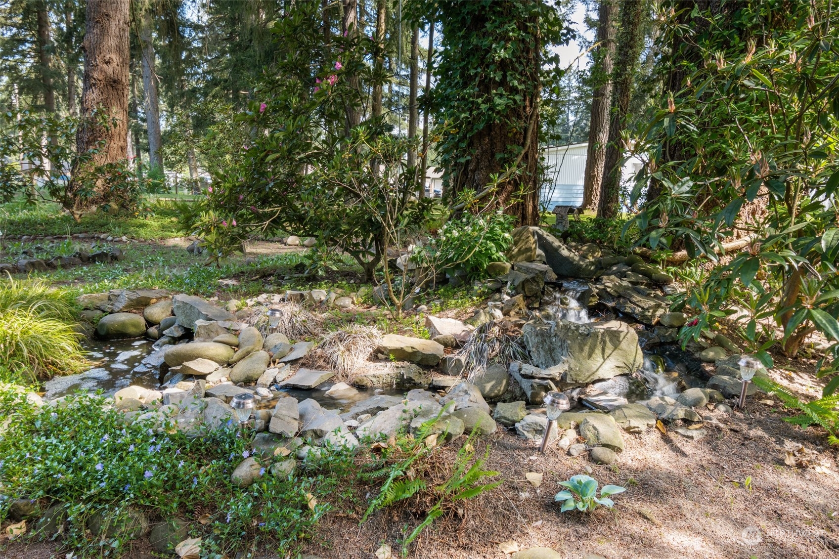 8117 176th Avenue Southwest Rochester, WA 98579 - Photo 26 of 27 a view of a forest with lots of trees