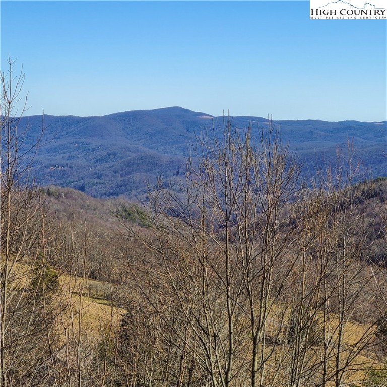 317 Skiview Road Seven Devils, NC 28604 - Photo 22 of 44 Gallery Image 22