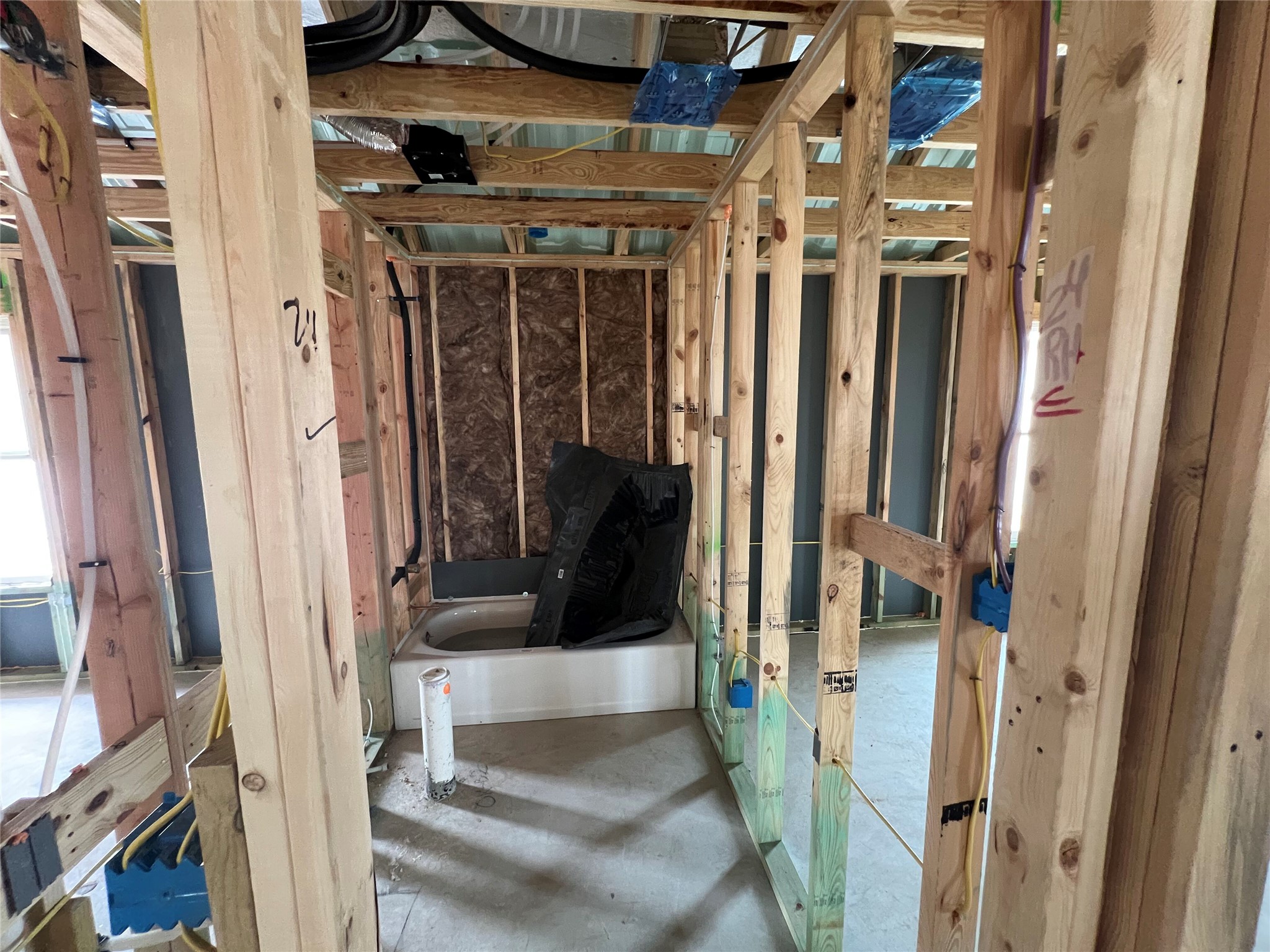 228 Gus Loop Georgetown, TX 78626 - Photo 6 of 16