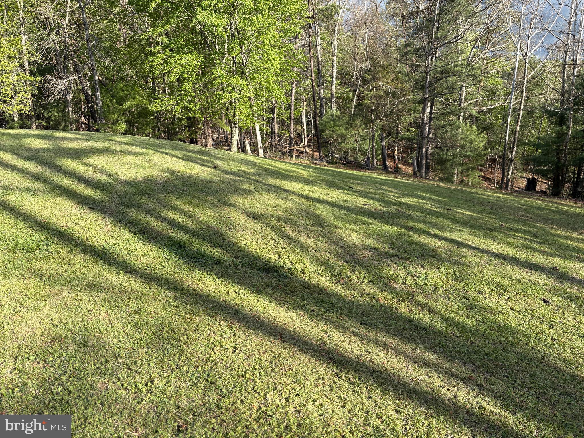 2865 Capon Springs Road High View, WV 26808 - Photo 16 of 34 a view of grassy field with trees