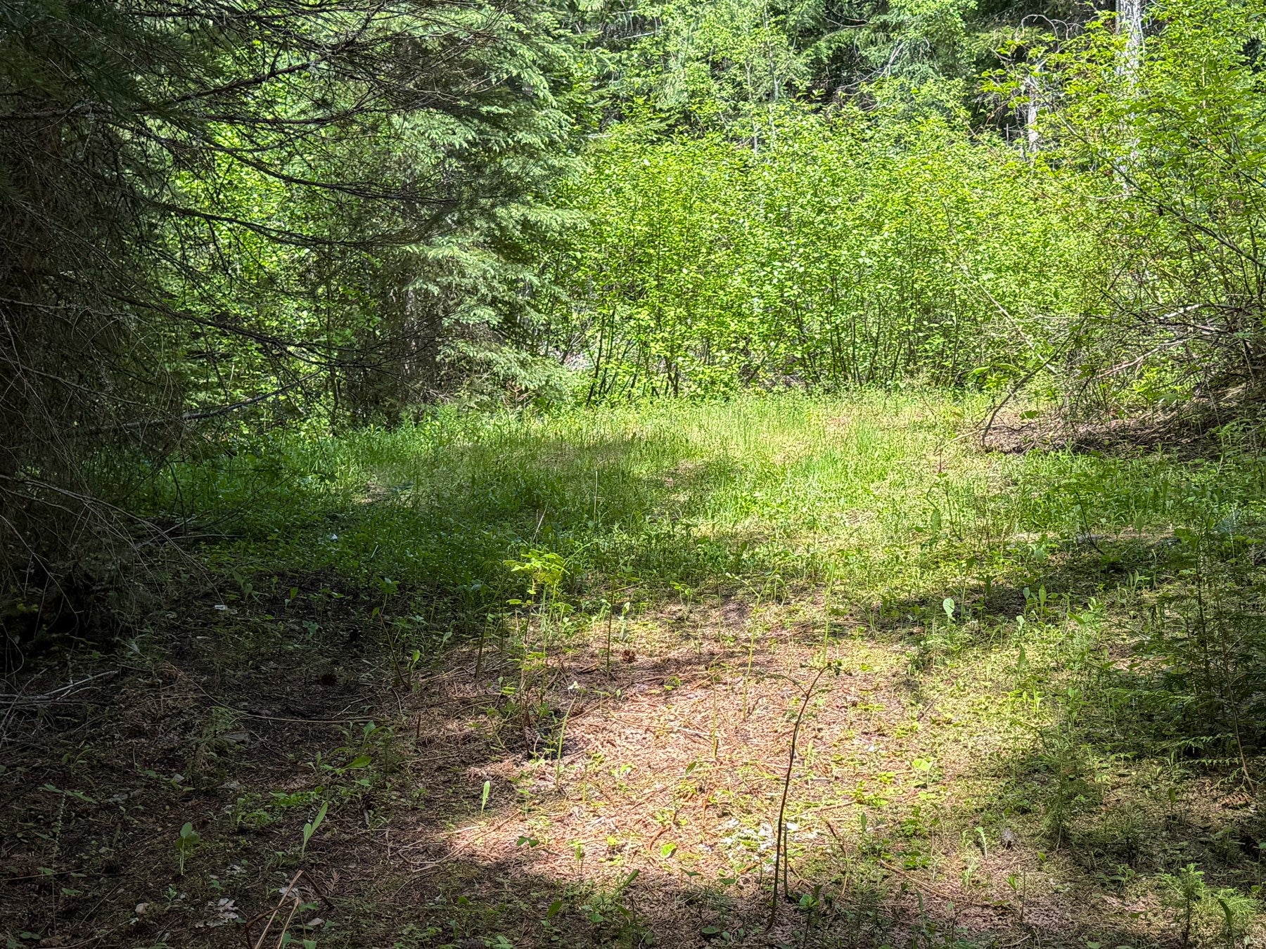 2 Pardee Flat Road Superior, MT 59872 - Photo 26 of 30 Gallery Image 26
