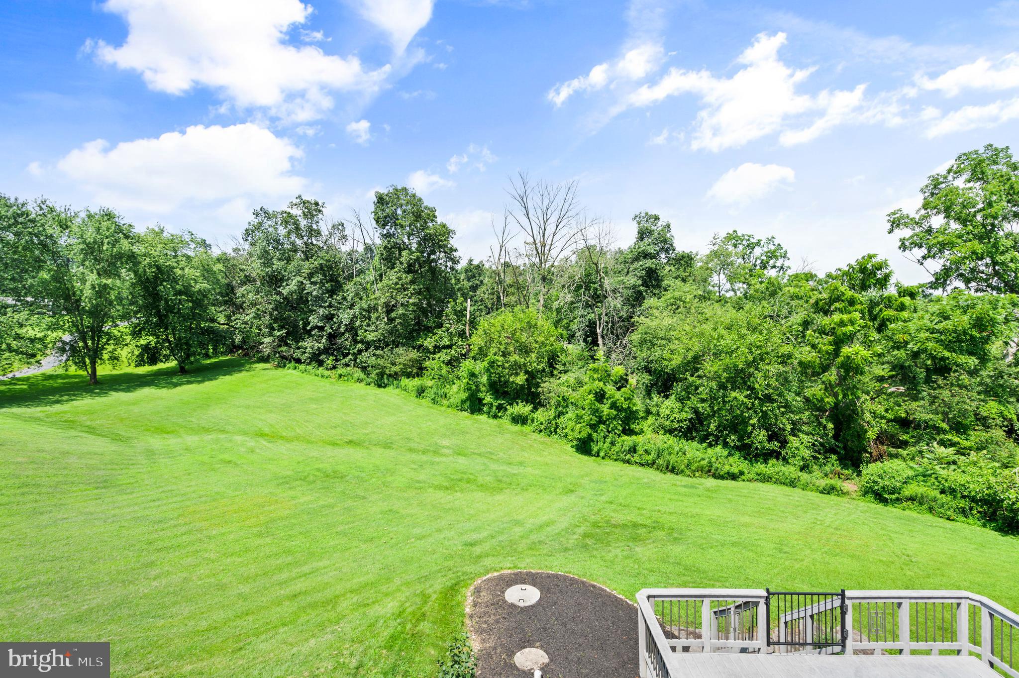 213 Cross Road Gilbertsville, PA 19525 - Photo 65 of 75 a backyard of a house with lots of green space