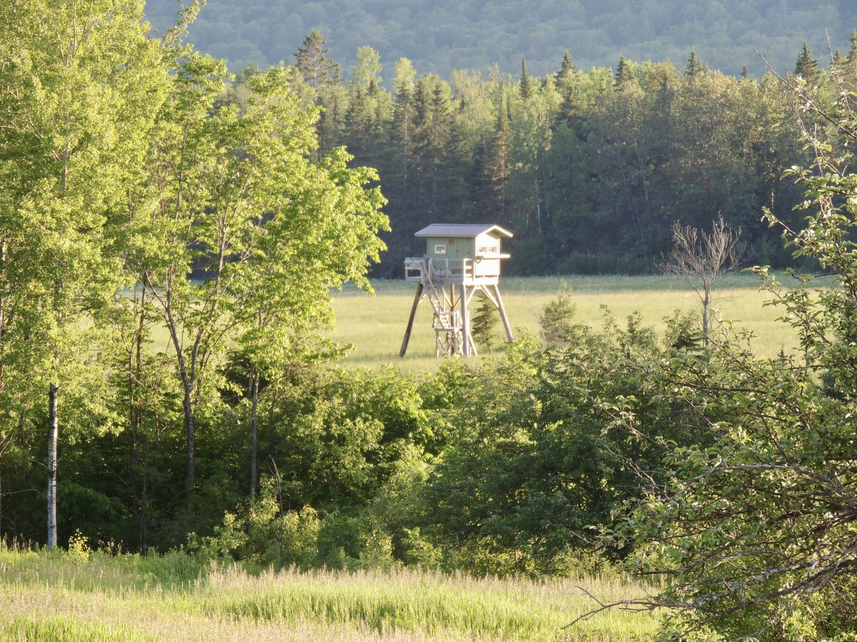 Map7-lot7 West Chapman Road Mapleton, ME 04757 - Photo 6 of 35 fullsizeoutput_be
