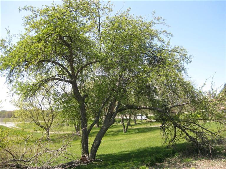 11555 Chief Road Bear Lake, MI 49614 - Photo 17 of 24 Additional Photo