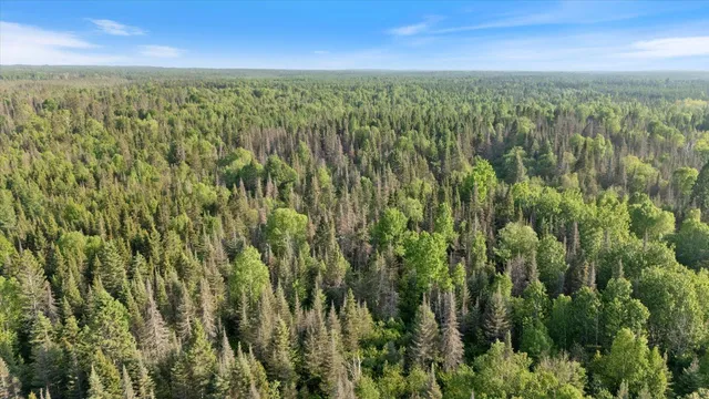 $225,000 | 2600 Whyte Road, Silver Bay, MN 55614