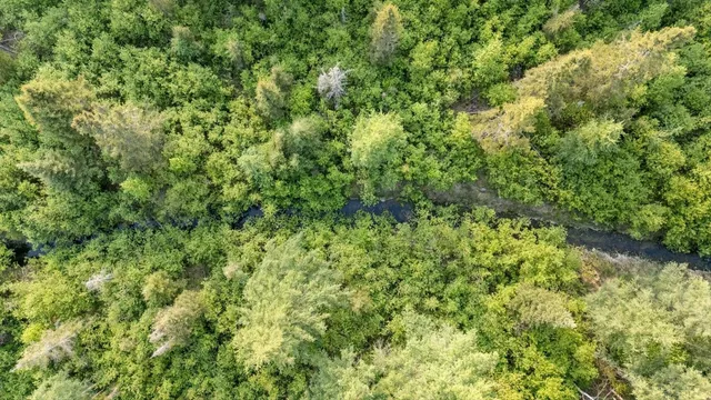 $225,000 | 2600 Whyte Road, Silver Bay, MN 55614