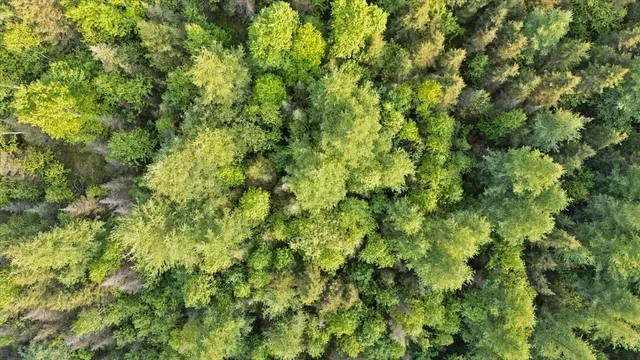 $225,000 | 2600 Whyte Road, Silver Bay, MN 55614