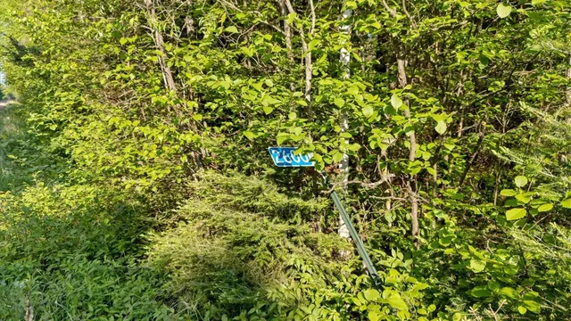 $225,000 | 2600 Whyte Road, Silver Bay, MN 55614