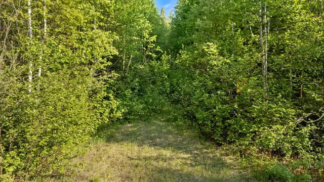 $225,000 | 2600 Whyte Road, Silver Bay, MN 55614