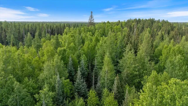 $225,000 | 2600 Whyte Road, Silver Bay, MN 55614