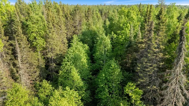 $225,000 | 2600 Whyte Road, Silver Bay, MN 55614