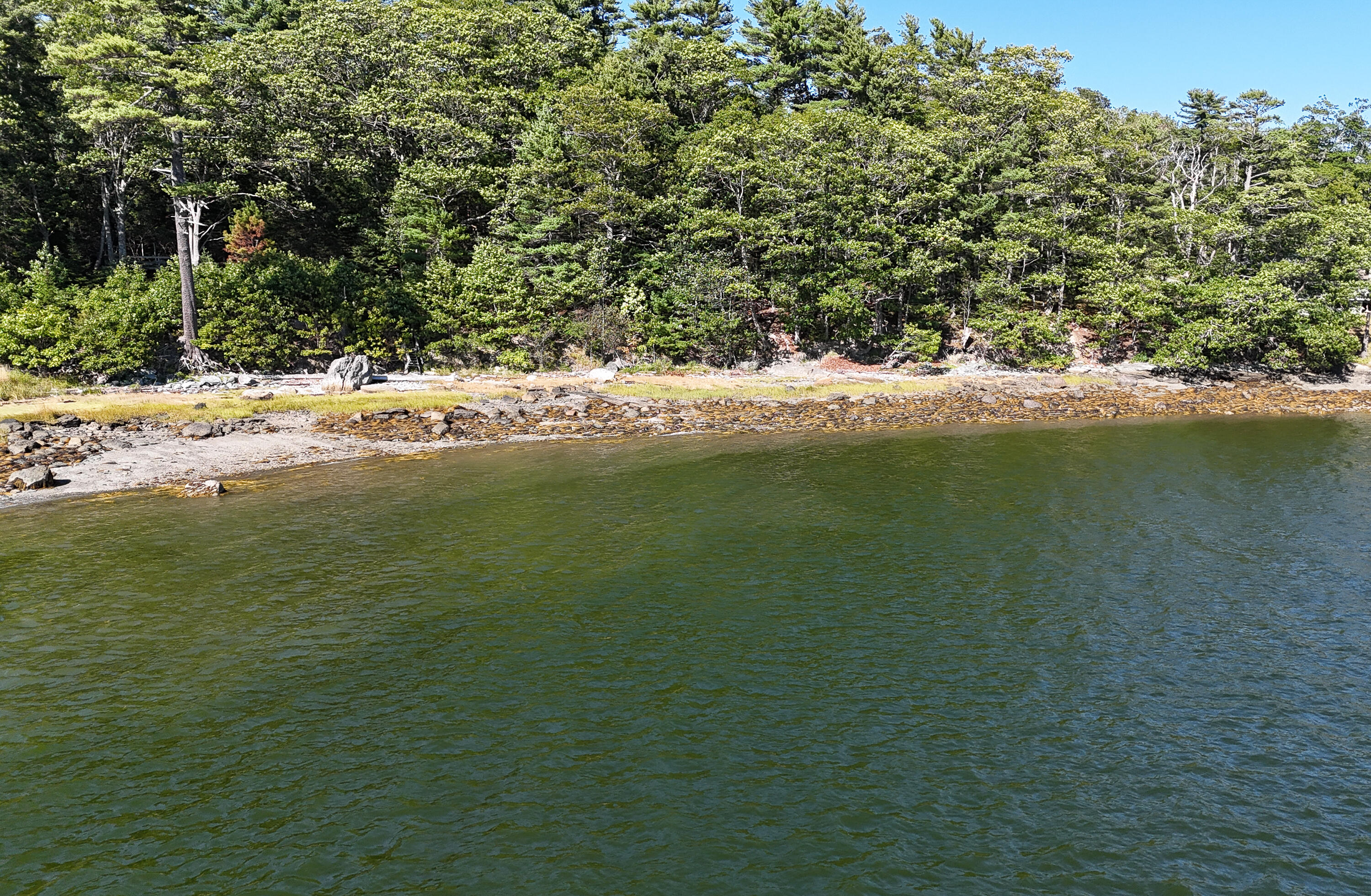 1022 Surry Road Surry, ME 04684 - Photo 6 of 6 Shore Line 1