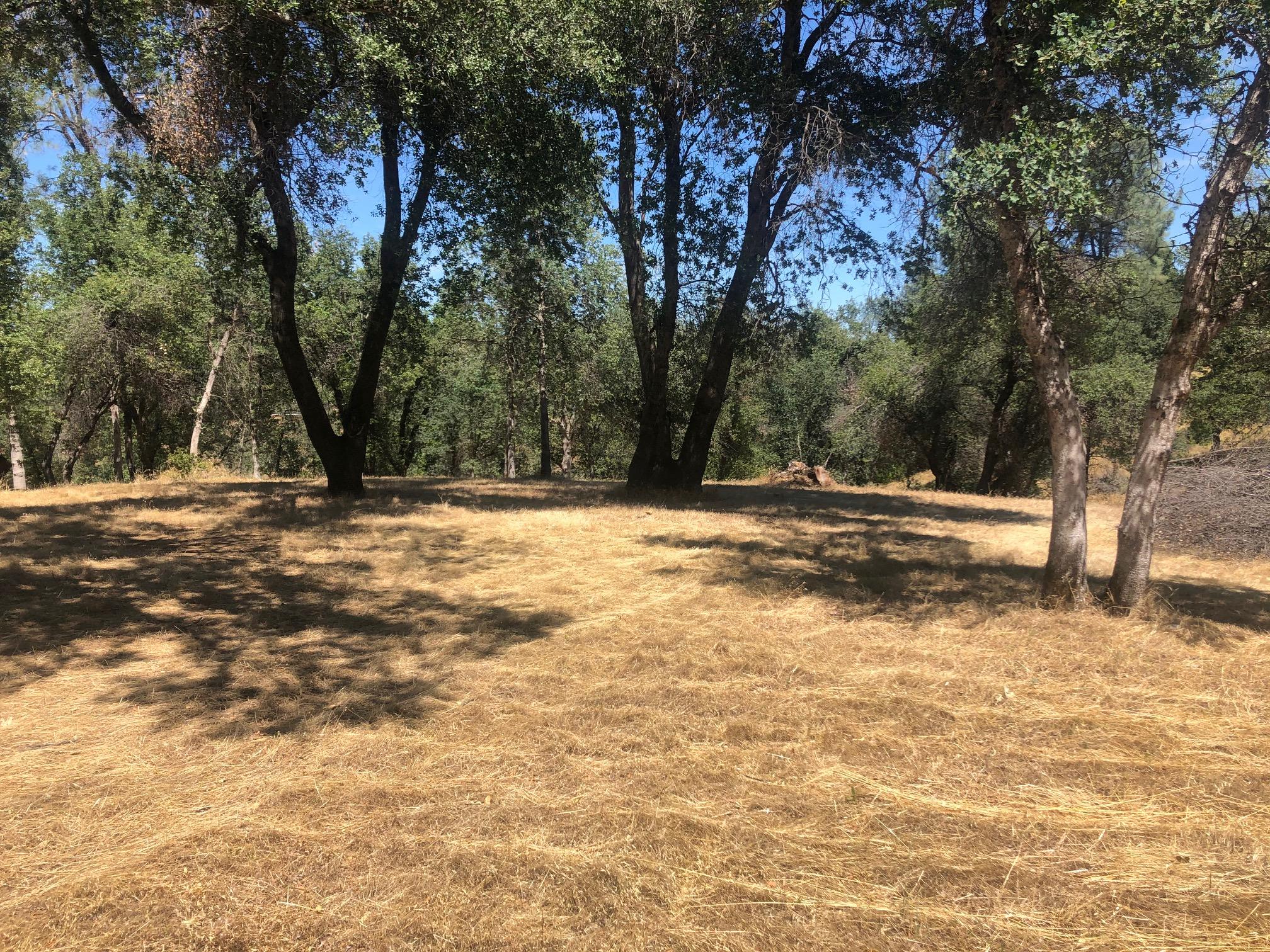 3.19 Acres Placer Road Redding, CA 96001 - Photo 5 of 8 IMG_2828