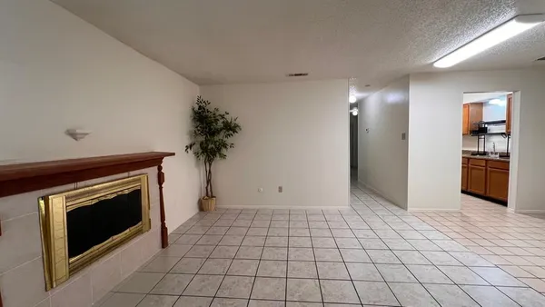 a view of an empty room with a fireplace and potted plant