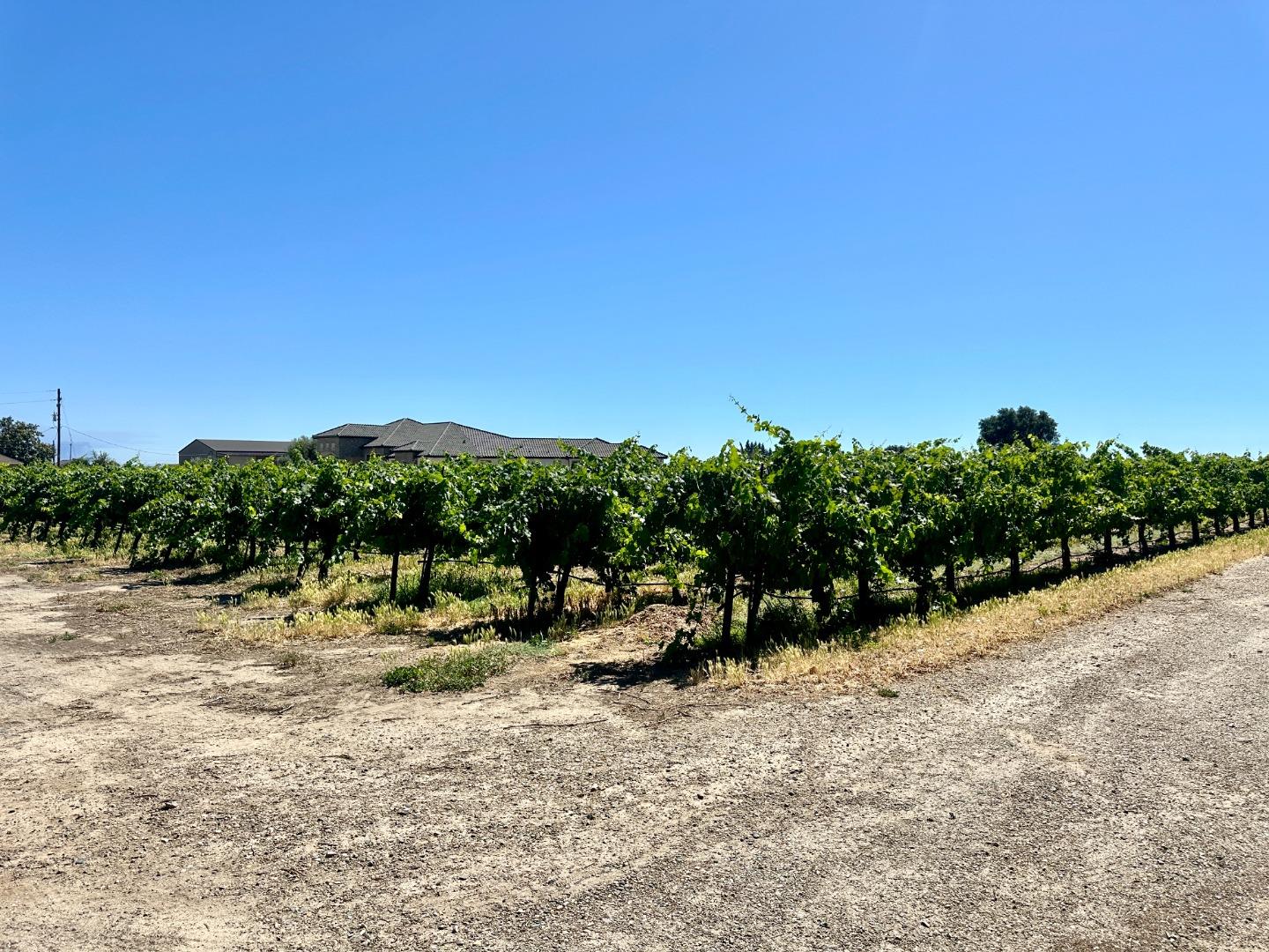 19025 Devries Road Lodi, CA 95242 - Photo 8 of 41