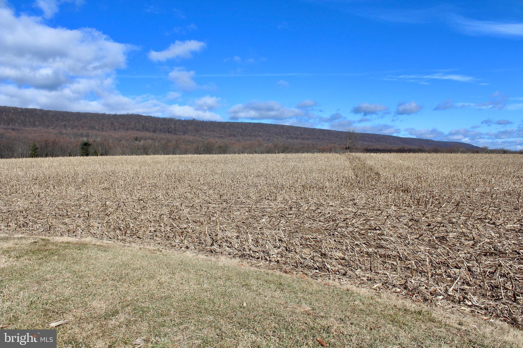 7654 Leaser Road, Unit 1 Kempton, PA 19529 - Photo 3 of 7 Gallery Image 3