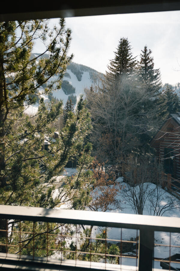 208 Georginia Road, Unit A Ketchum, ID 83340 - Photo 51 of 60 Bedroom 3 Balcony