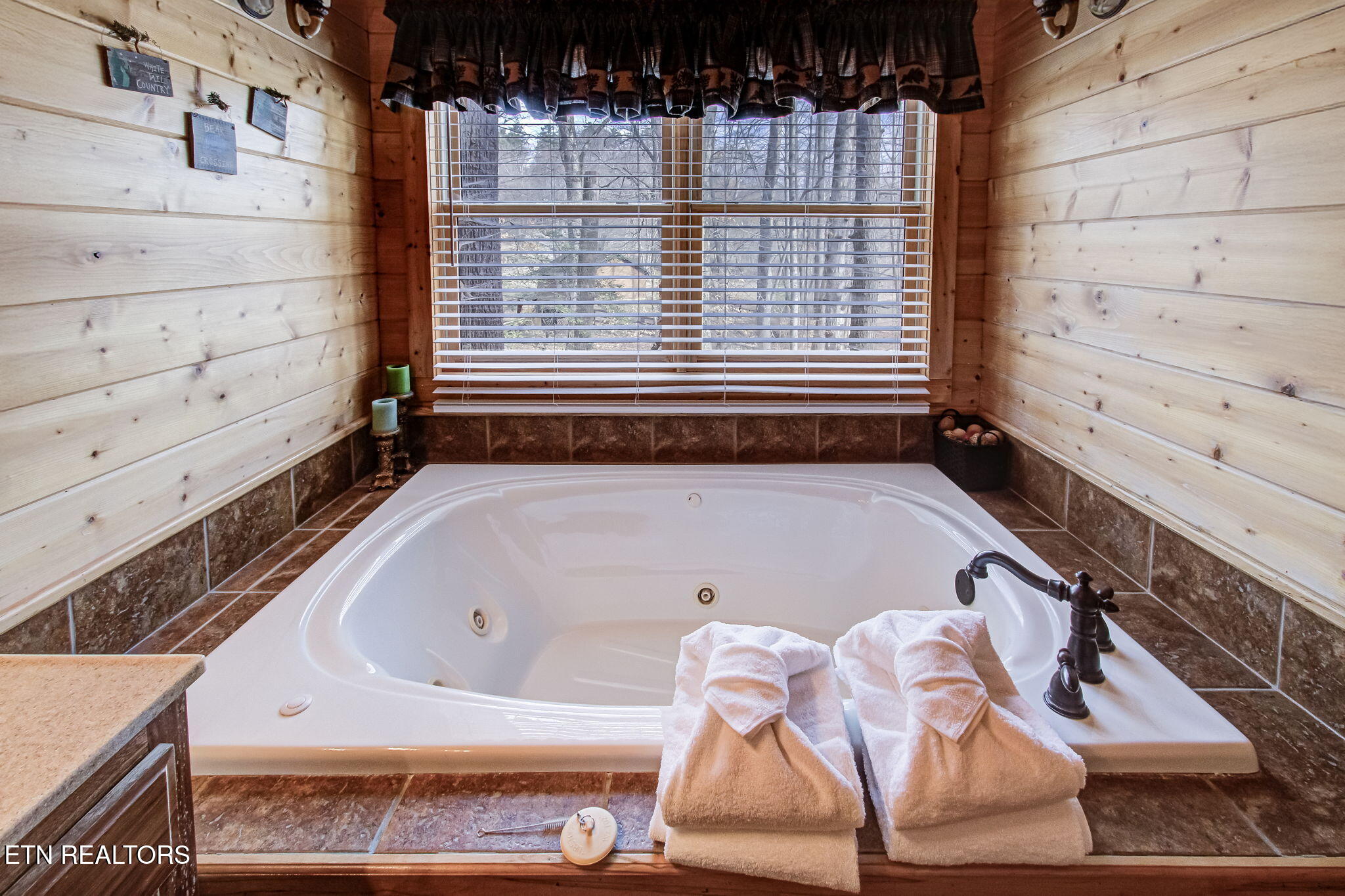 4020 Tomahawk Way Sevierville, TN 37862 - Photo 20 of 49 IMG_3628