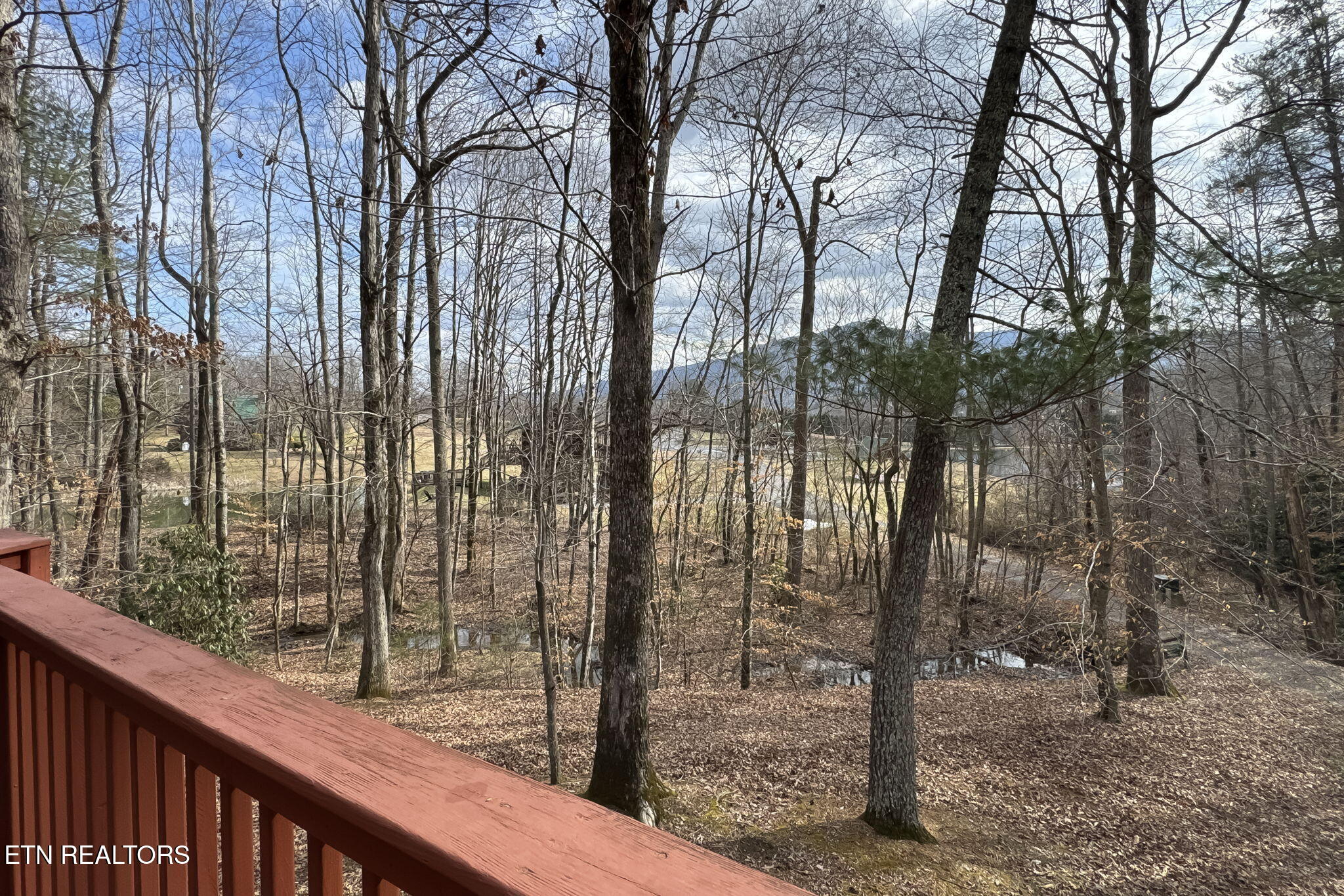 4020 Tomahawk Way Sevierville, TN 37862 - Photo 44 of 49 IMG_3742