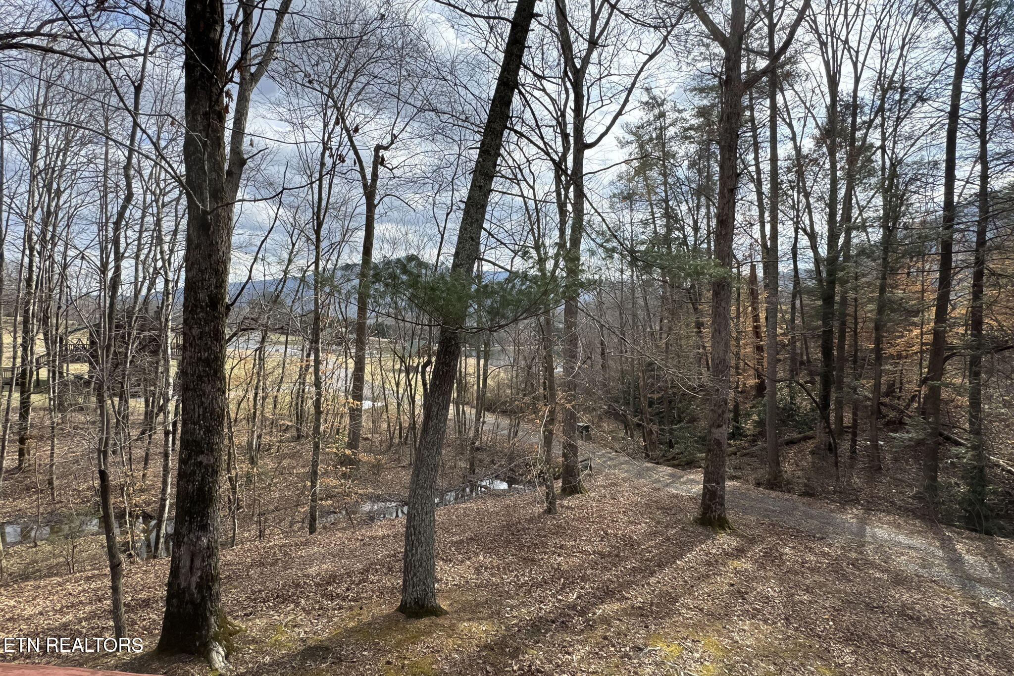 4020 Tomahawk Way Sevierville, TN 37862 - Photo 45 of 49 IMG_3745