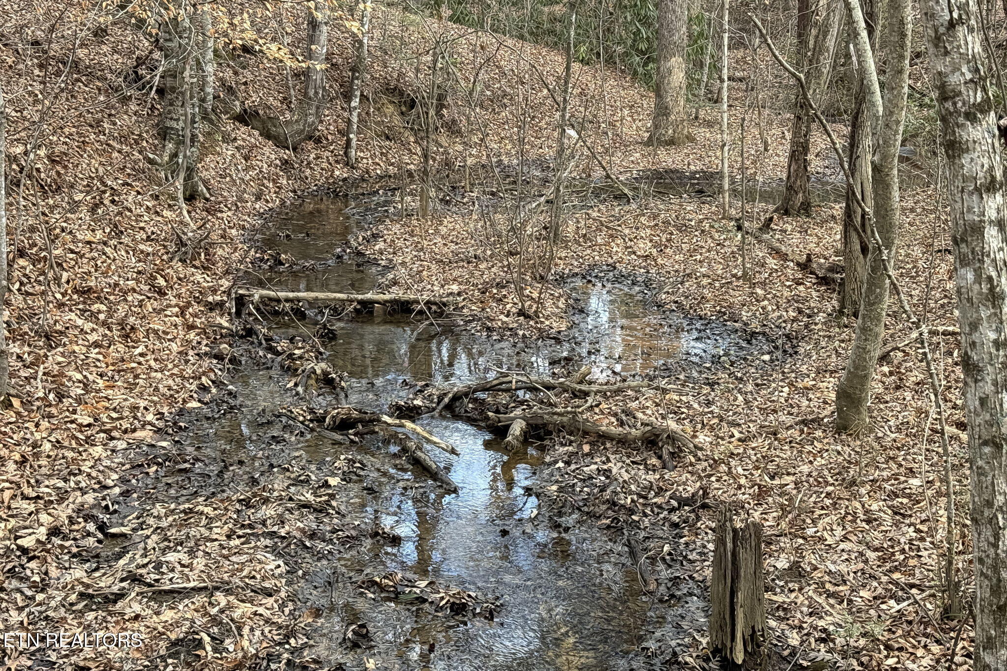 4020 Tomahawk Way Sevierville, TN 37862 - Photo 47 of 49 IMG_3751