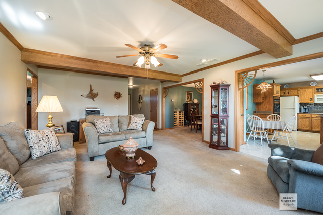 5545 Nettle Creek Road Morris, IL 60450 - Photo 20 of 45 a living room with furniture and a chandelier