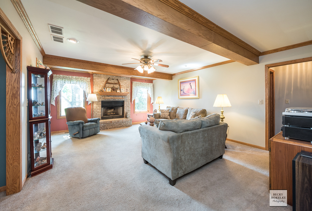 5545 Nettle Creek Road Morris, IL 60450 - Photo 24 of 45 a living room with furniture and a fireplace