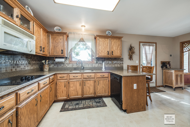 5545 Nettle Creek Road Morris, IL 60450 - Photo 26 of 45 a kitchen with stainless steel appliances granite countertop a stove a sink and a microwave