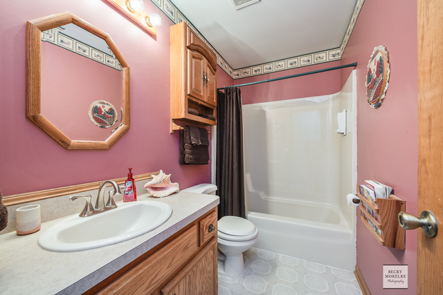 5545 Nettle Creek Road Morris, IL 60450 - Photo 31 of 45 a bathroom with a sink a toilet a mirror and shower