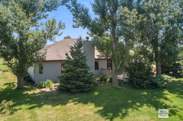 5545 Nettle Creek Road Morris, IL 60450 - Photo 42 of 45 a view of a house with a yard and a large tree