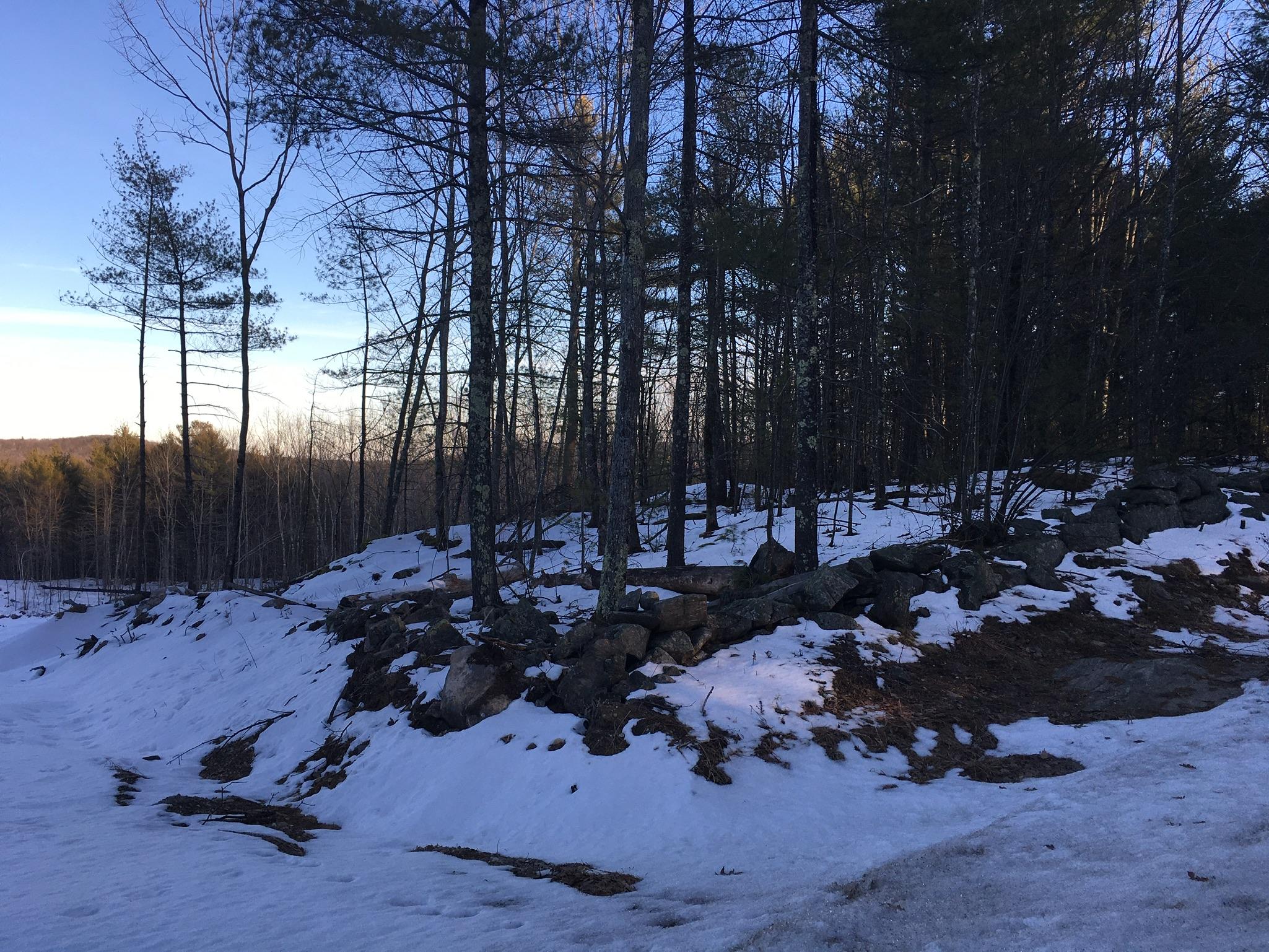 20-acres West Road Waterboro, ME 04087 - Photo 15 of 16 4DF1DB3C-3D58-437C-83E0-B1F2646DA605