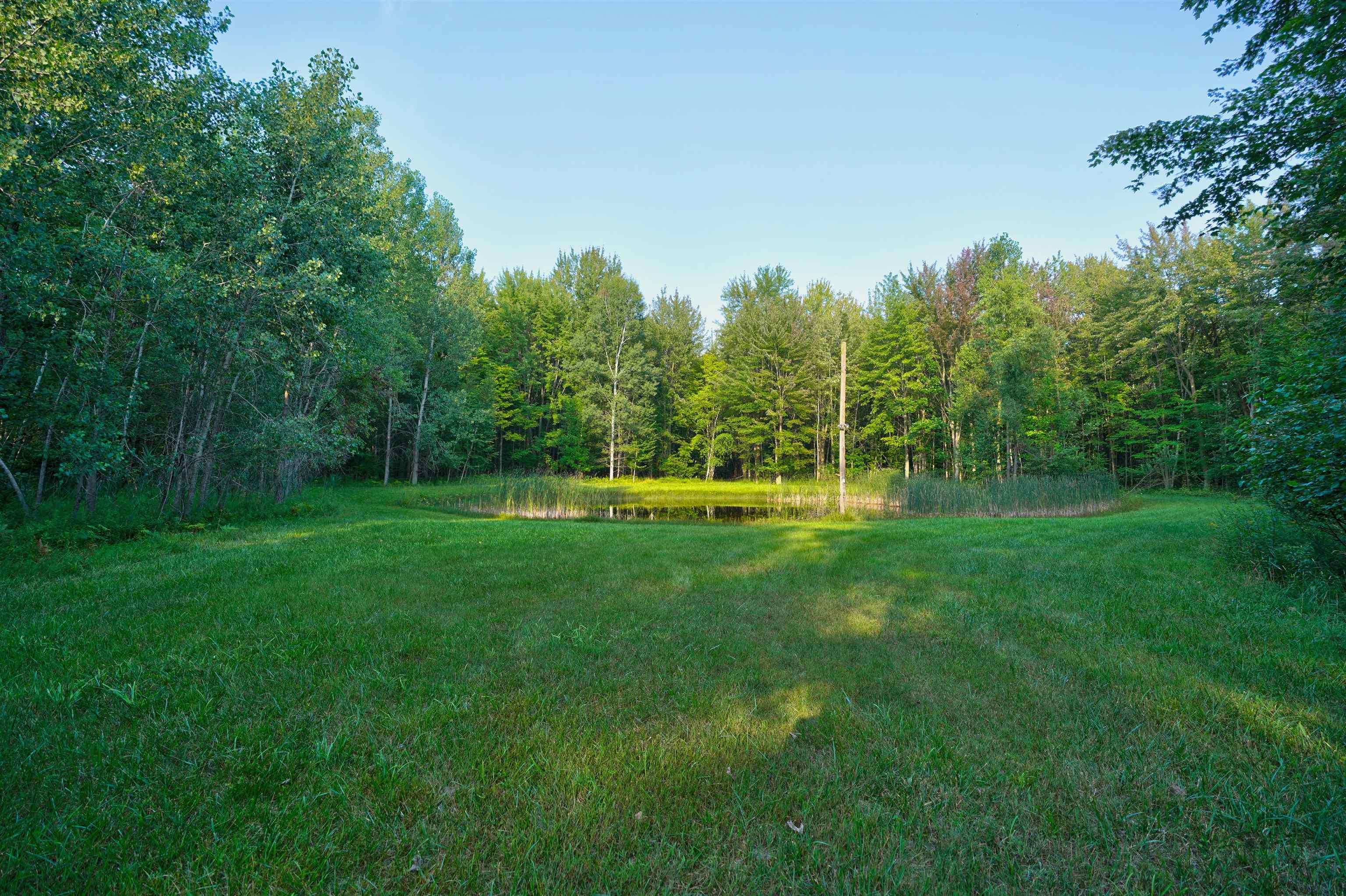 4790 North Flajole Road Rhodes, MI 48652 - Photo 12 of 41