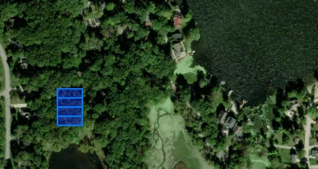 a view of a lush green forest