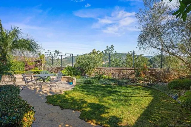 a view of a city with lawn chairs and a large tree