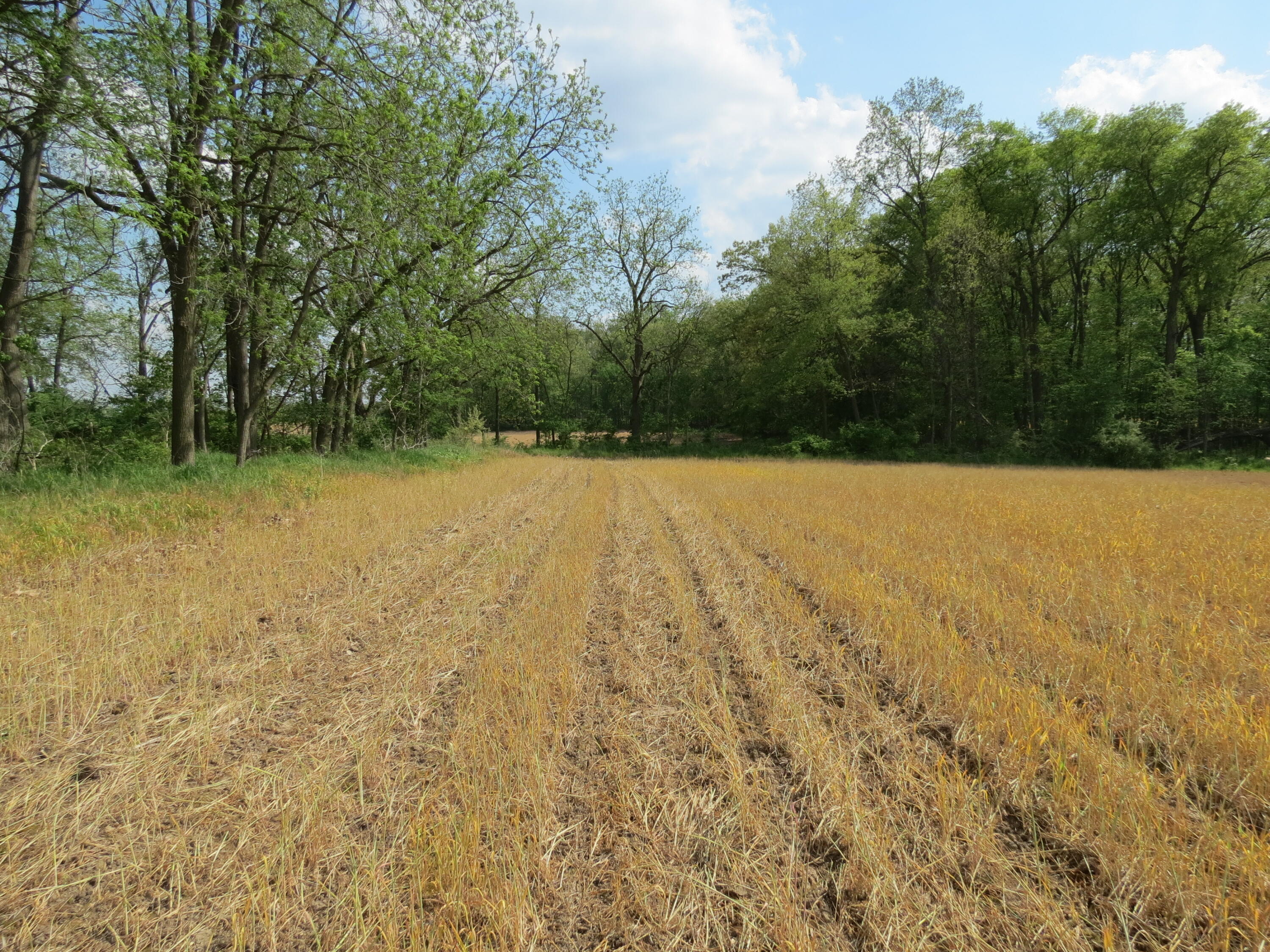South Stony Lake Road, Unit B Jackson, MI 49201 - Photo 1 of 30 IMG_4247