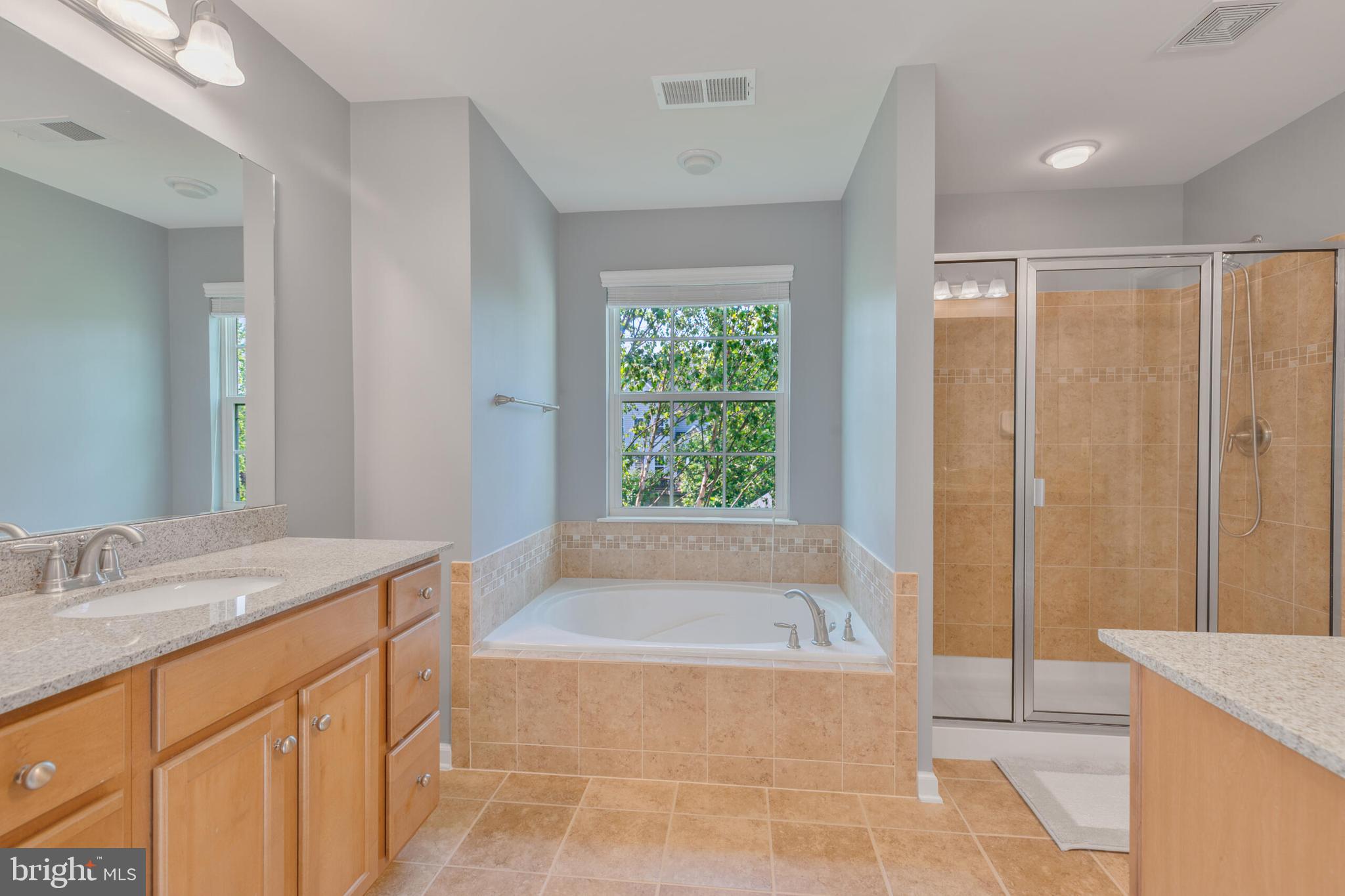 40652 Banshee Drive Leesburg, VA 20175 - Photo 30 of 51 a bathroom with a tub sink and mirror