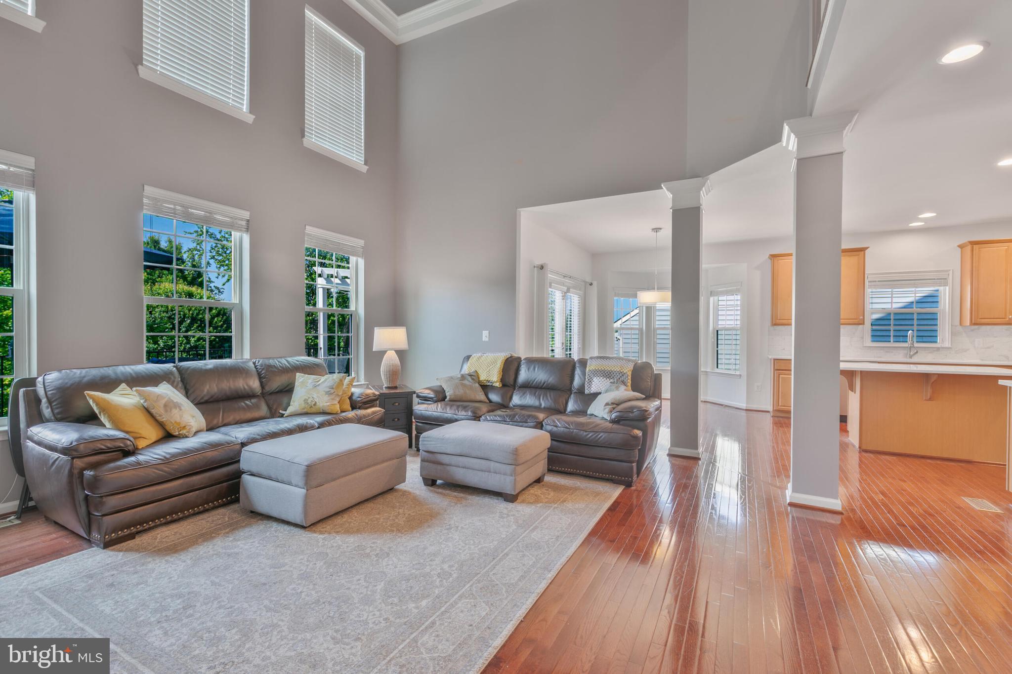 40652 Banshee Drive Leesburg, VA 20175 - Photo 5 of 51 a living room with furniture and a large window