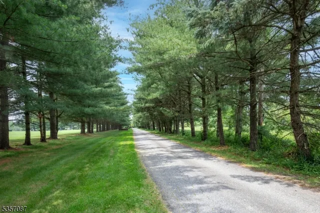 a grassy field with trees in the background