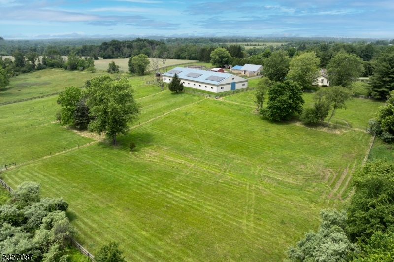 338 Rileyville Road Ringoes, NJ 08551 - Photo 2 of 33 a view of a big yard with potted plants and large trees