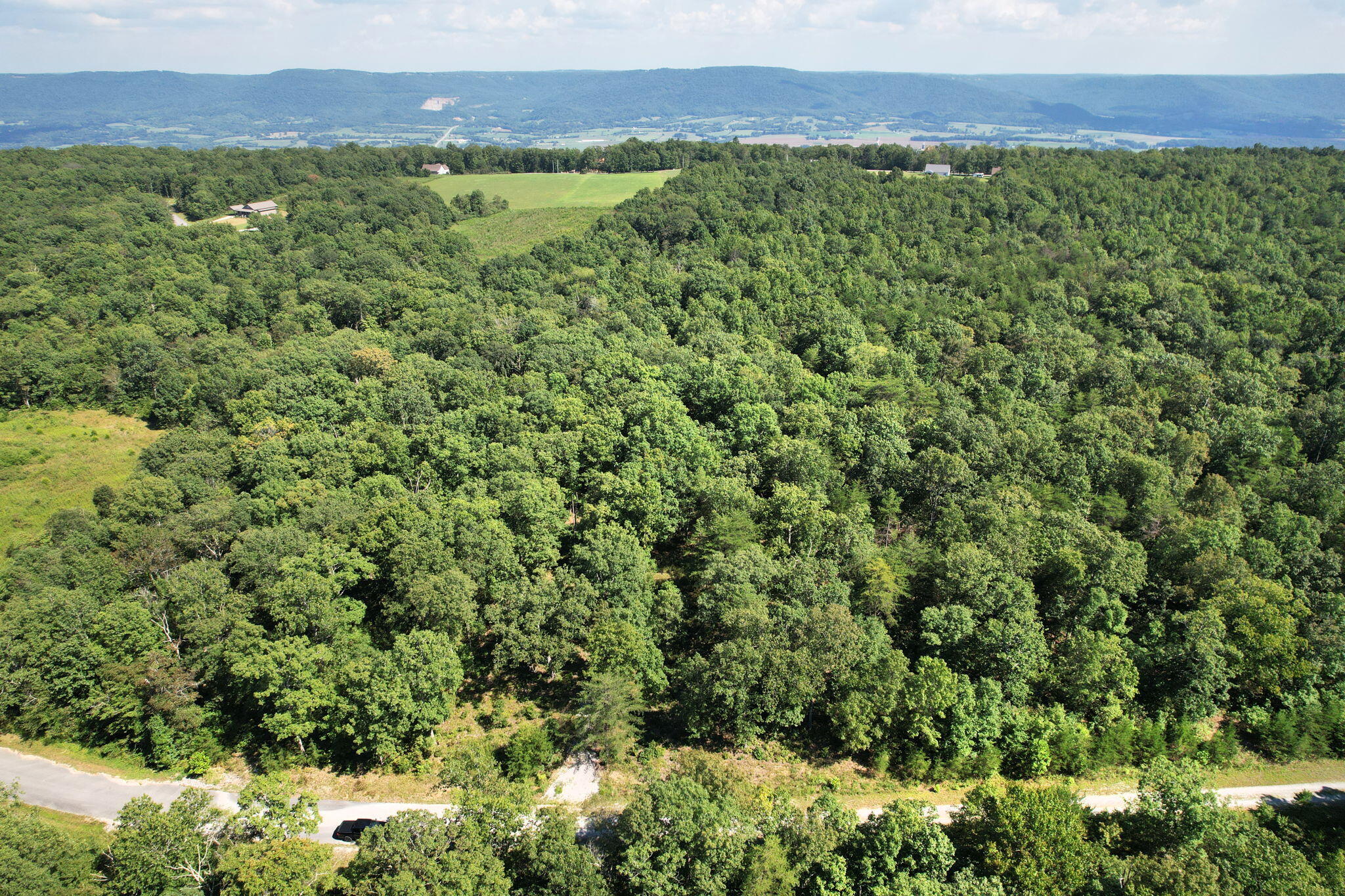 0 Big Bluff View Road Pikeville, TN 37367 - Photo 2 of 12 2-web-or-mls-DJI_0020