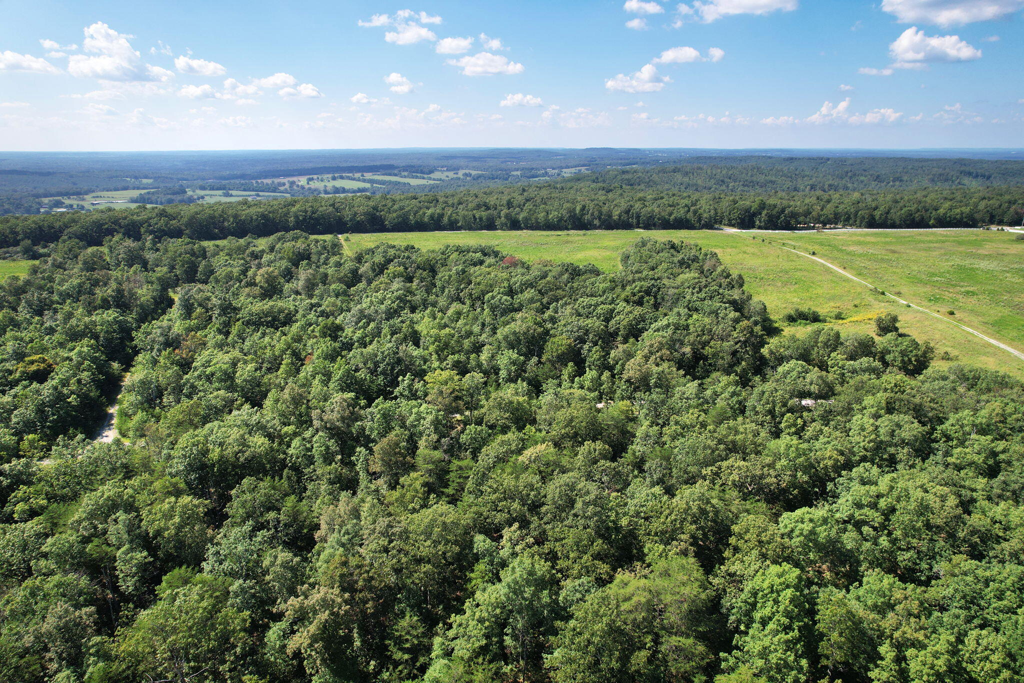 0 Big Bluff View Road Pikeville, TN 37367 - Photo 4 of 12 4-web-or-mls-DJI_0024