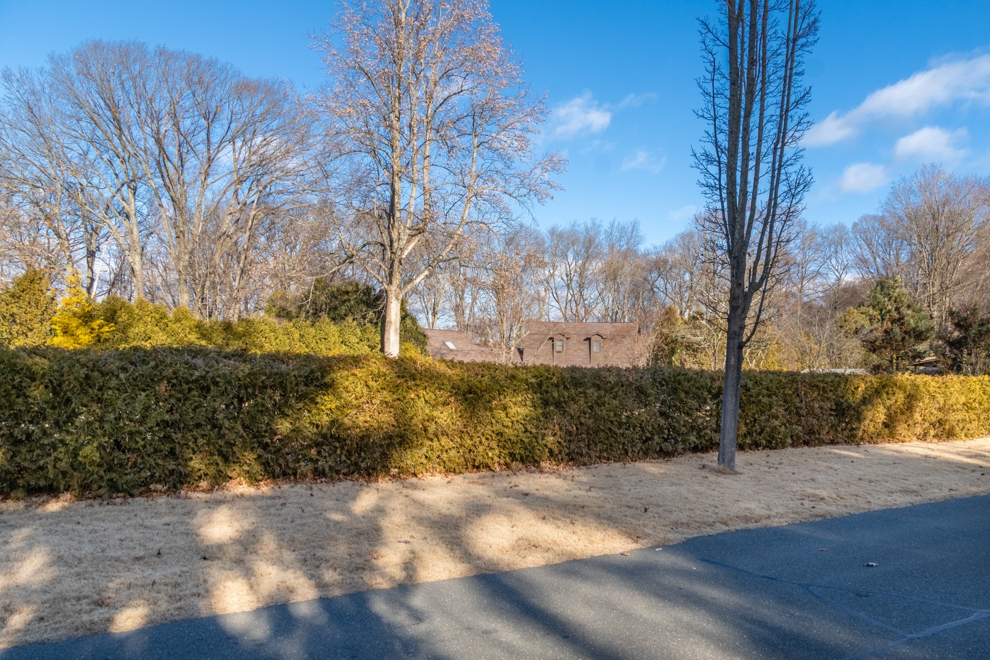 Lot 0 Barington Road Longmeadow, MA 01106 - Photo 6 of 6 Gallery Image 6