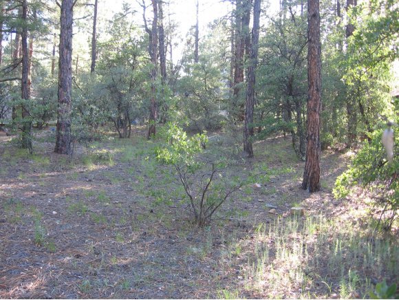 1885 Timber Point North Prescott, AZ 86303 - Photo 1 of 13 Primary Photo
