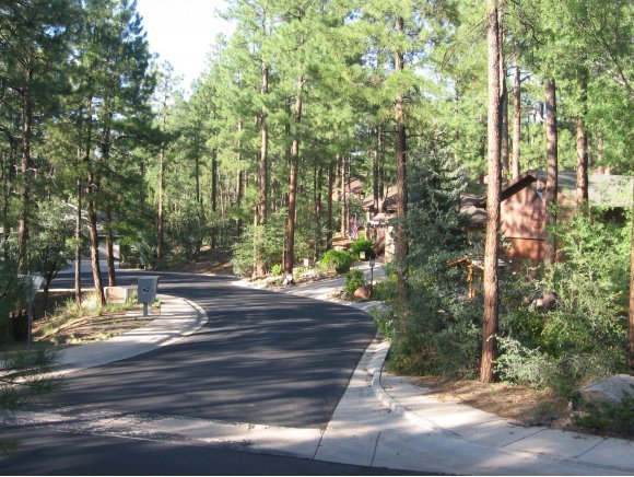 1885 Timber Point North Prescott, AZ 86303 - Photo 11 of 13 Additional Photo