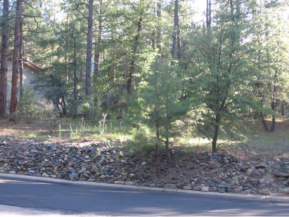 1885 Timber Point North Prescott, AZ 86303 - Photo 3 of 13 Additional Photo