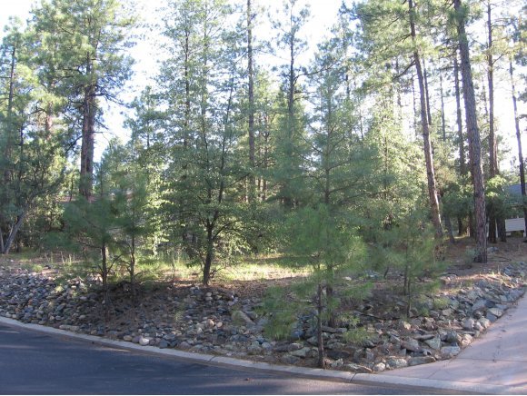 1885 Timber Point North Prescott, AZ 86303 - Photo 4 of 13 Additional Photo