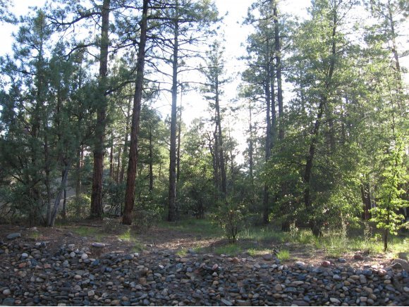 1885 Timber Point North Prescott, AZ 86303 - Photo 5 of 13 Additional Photo