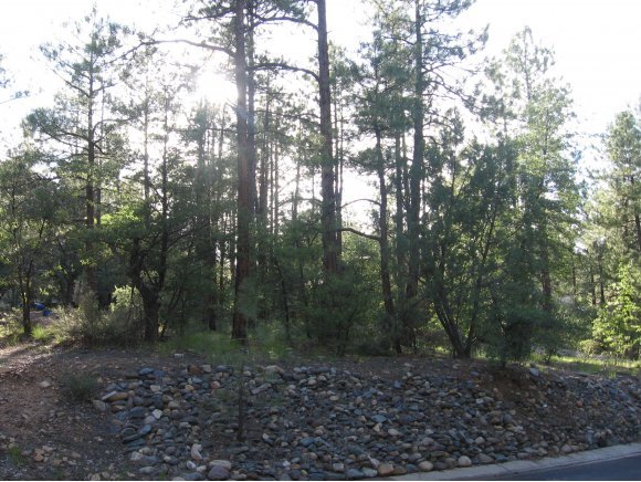 1885 Timber Point North Prescott, AZ 86303 - Photo 6 of 13 Additional Photo
